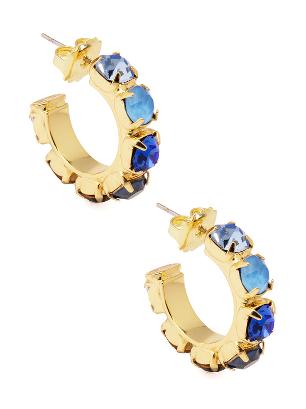 Charlie Crystal Hoops Earring