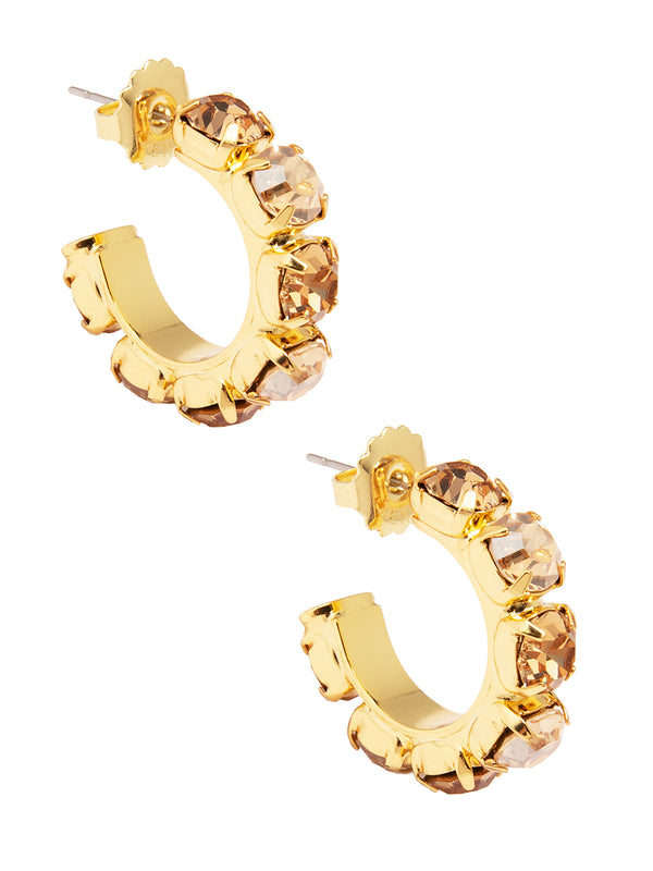 Charlie Crystal Hoops Earring